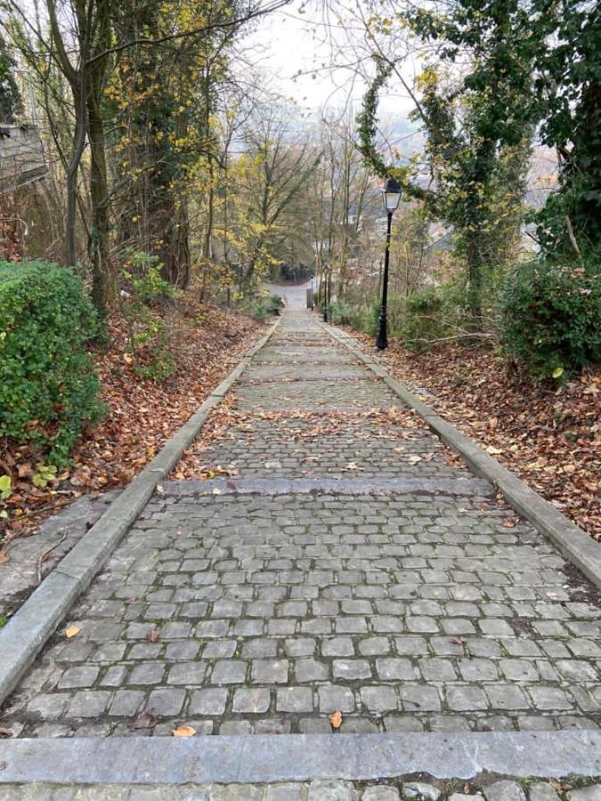 Vakantiewoning De Kassei Geraardsbergen Max 12Personen エクステリア 写真