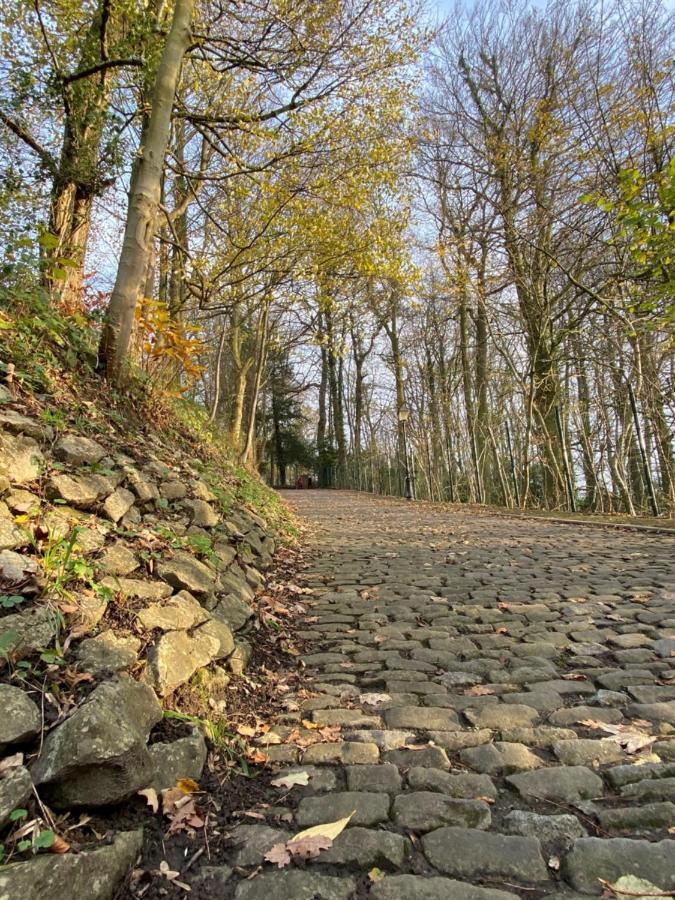 Vakantiewoning De Kassei Geraardsbergen Max 12Personen エクステリア 写真